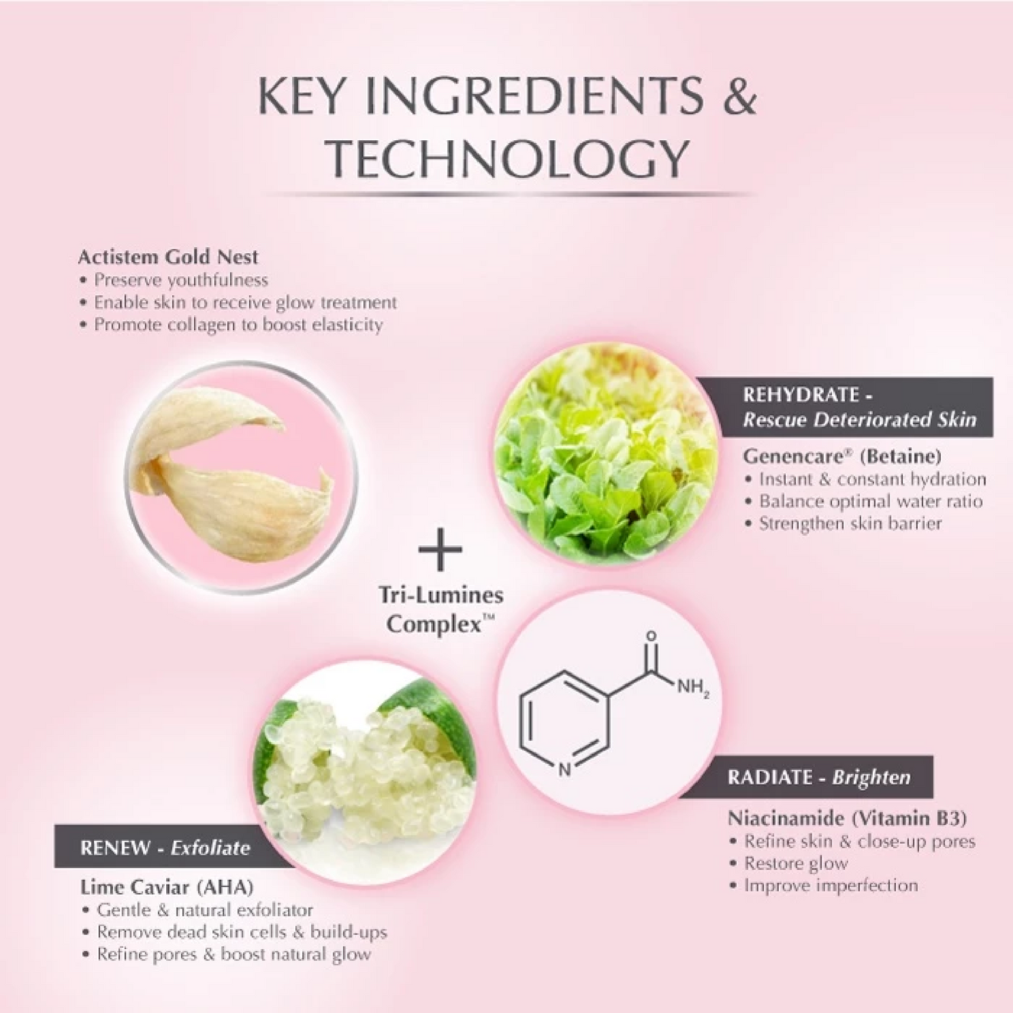 Nutox Renew Treatment Crème 30ml