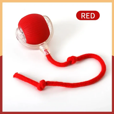 Smart Cat Toy, Automatic USB Charging Electric Cat Ball Toy, Fast Rolling Imitating Mouse Tail