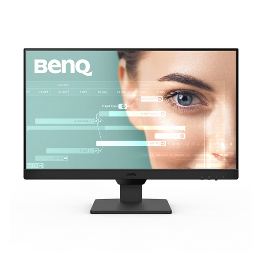 BenQ GW2490 23.8" Monitor