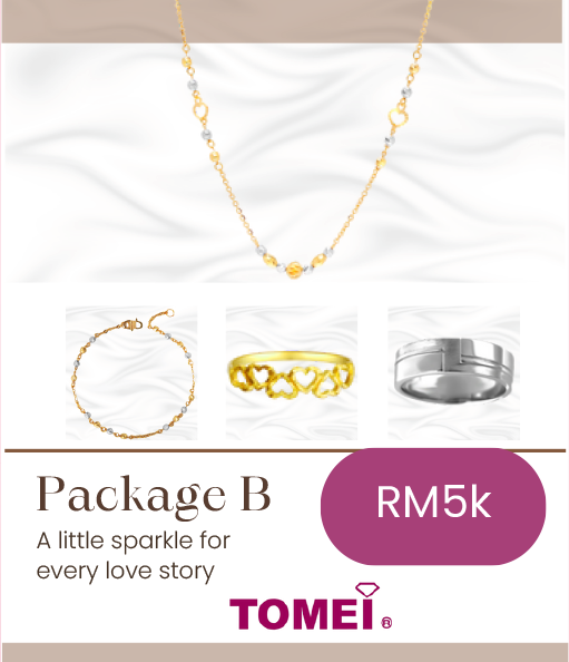 Tomei Package B