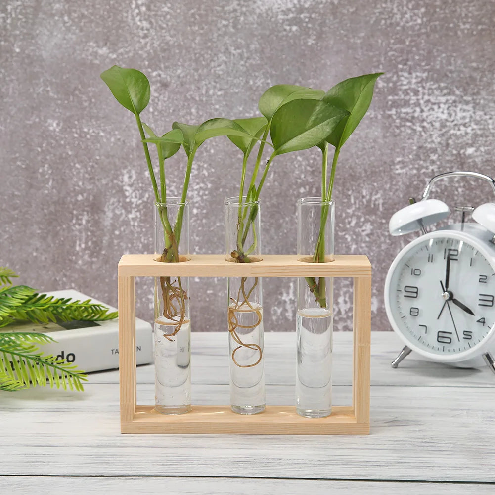 Pasu Kaca Lutsinar Bingkai Kayu Seni Besi Terarium Hiasan Meja Bonsai Pasu Bunga Meja Hidroponik Pot Bunga Tanaman