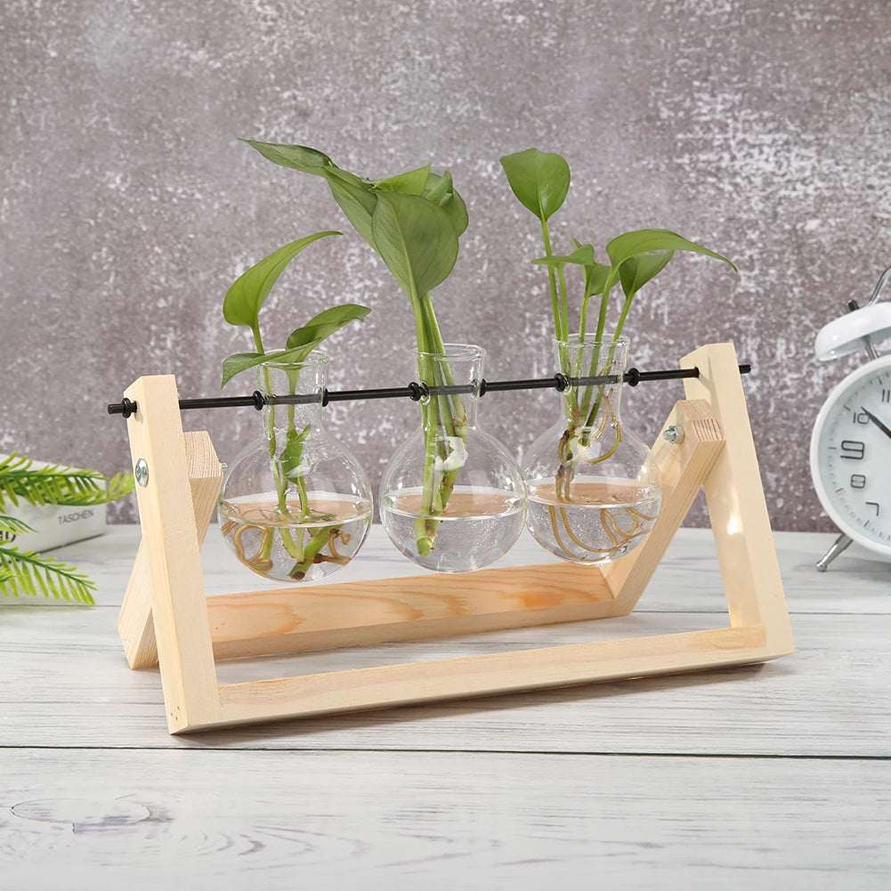 Pasu Kaca Lutsinar Bingkai Kayu Seni Besi Terarium Hiasan Meja Bonsai Pasu Bunga Meja Hidroponik Pot Bunga Tanaman