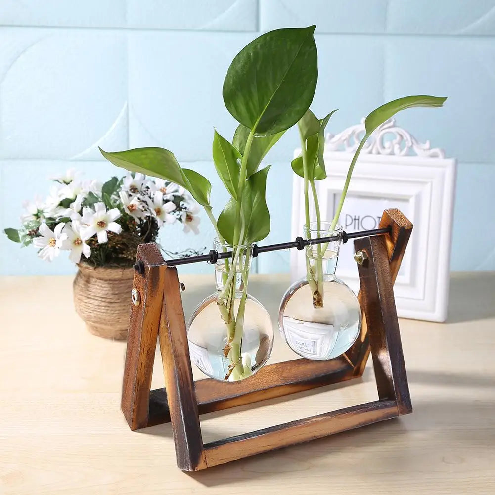 Pasu Kaca Lutsinar Bingkai Kayu Seni Besi Terarium Hiasan Meja Bonsai Pasu Bunga Meja Hidroponik Pot Bunga Tanaman