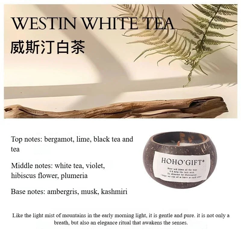 BISIK | Lilin Vanila Kelapa, Lilin Wangi, Lilin Soya, Lilin Aromaterapi, Lilin Lilin Soya, Lilin untuk Wangian Rumah
