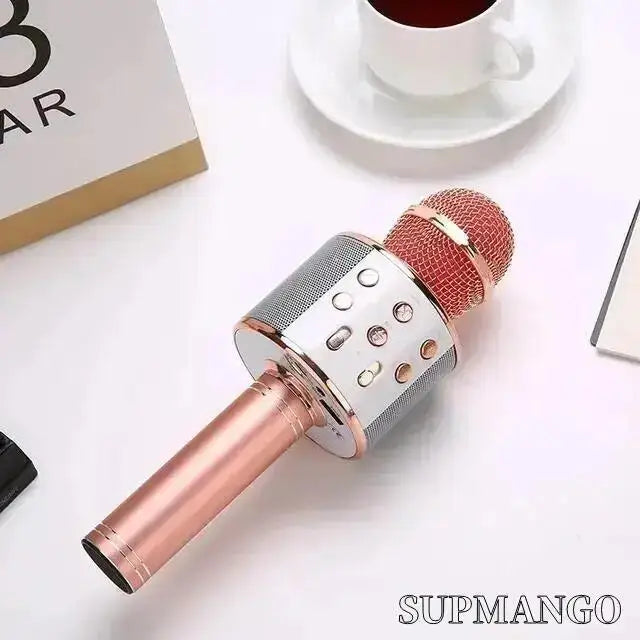 Mikrofon Karaoke Tanpa Wayar Pegang Tangan Profesional Mikrofon Pembesar Suara USB untuk Pemain Muzik Kanak-kanak Perakam Nyanyian KTV