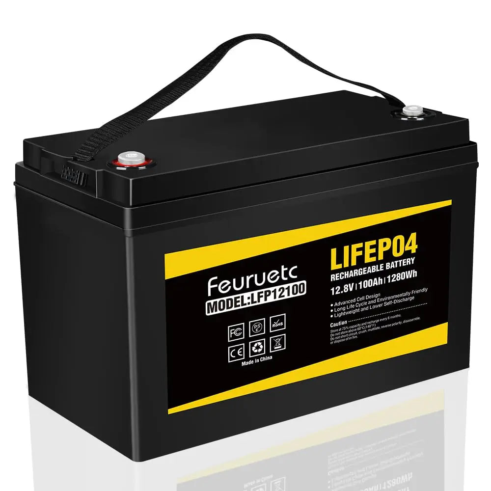 12V 100Ah LiFePO4 Battery 4000~8000 Cycles,Built-in BMS,Perfect for RV, Solar, Marine, Home Energy Storage