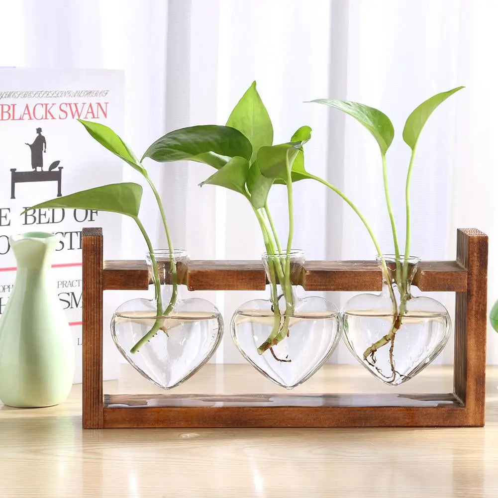 Pasu Kaca Lutsinar Bingkai Kayu Seni Besi Terarium Hiasan Meja Bonsai Pasu Bunga Meja Hidroponik Pot Bunga Tanaman