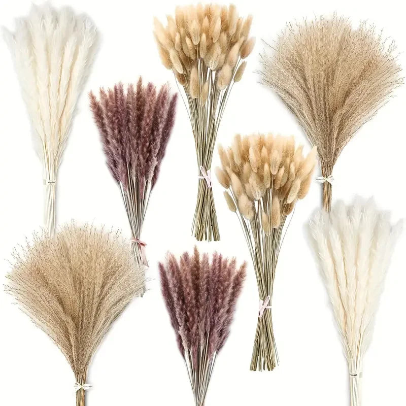 210Pcs Pampas Bunny Ekor Rumput Bunga Kering Semulajadi Boho Hiasan Bulrush Reed Rumput untuk Pasu Rumah Ladang Sejambak Perkahwinan Pesta Rumah