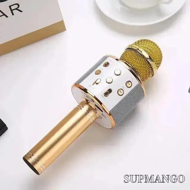 Mikrofon Karaoke Tanpa Wayar Pegang Tangan Profesional Mikrofon Pembesar Suara USB untuk Pemain Muzik Kanak-kanak Perakam Nyanyian KTV