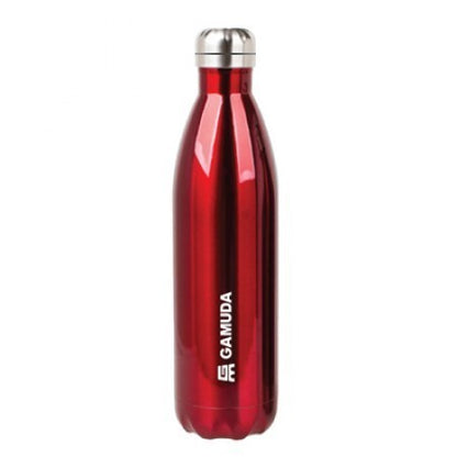 COKE II Double Wall Stainless Steel Thermos Flask - 500ml