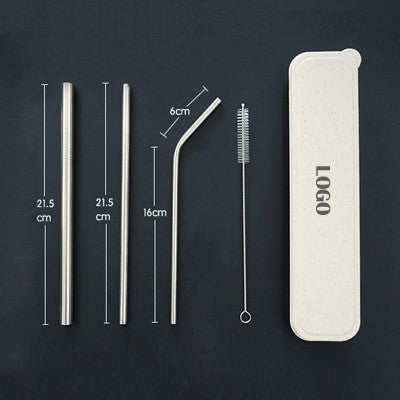 4-in-1 Silver Stainless Steel Drinking Straw Gifts Set
