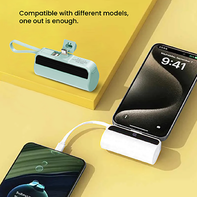 PICO 2-in-1 Mini Power Bank - 5000mAh