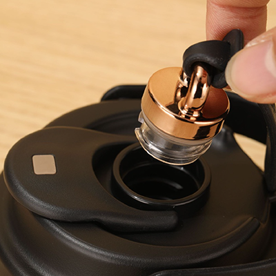 GOLD Dual Lid 316 S.Steel Bottle with Straw Handle – 500ml