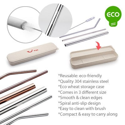 4-in-1 Silver Stainless Steel Drinking Straw Gifts Set