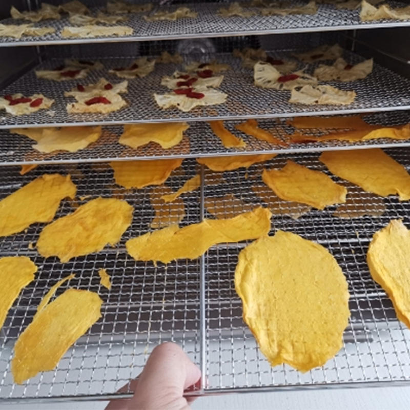 24 Trays Single Zone Commercial Food Dryer Machine Mango Orange Apple Fruit Dehydrator Drying Machine