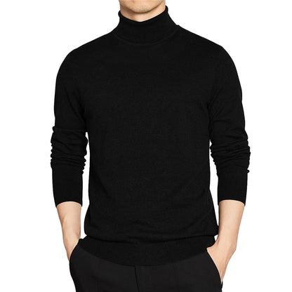 High Quality Turtleneck Sweater Men Pullover Basic Solid Turtle-Neck Sweater Male Black Wine red Green Grey Purple Knitwear Man