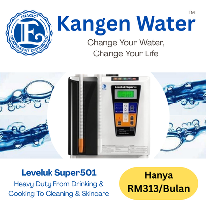Leveluk Super501