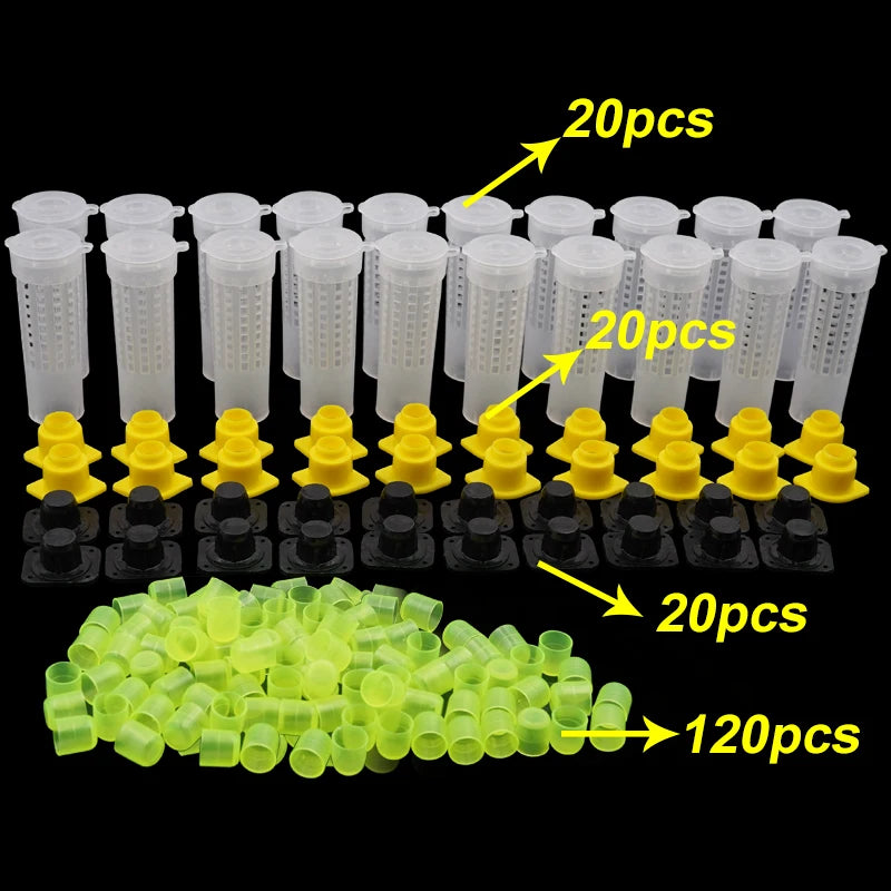 1 Set Beekeeping Cages King Queen Rearing System Plastic Bee Catcher Box Cell Cups Complete Kit Apicultura Tools Supplies