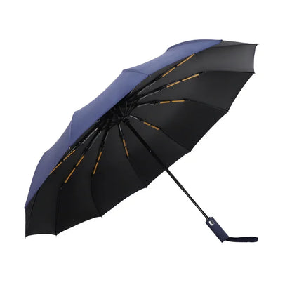 Windproof Automatic Folding Umbrella Female Male Twelv Bone Car Luxury Large Business Umbrellas Men Rain Women Gift Parasol