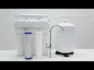 Leveluk Super501